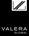 VG Logo